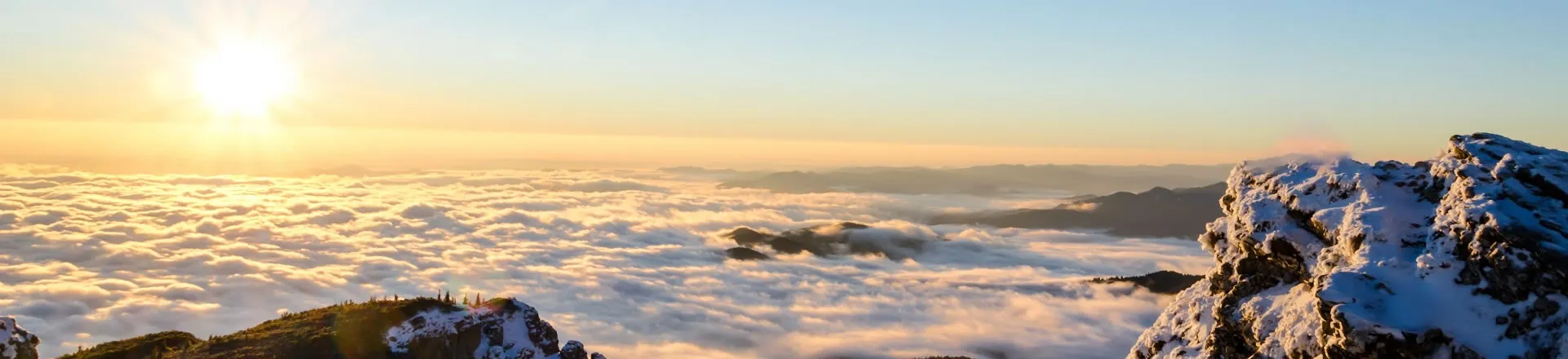 Um grão antigo desvenda segredos genéticos para tornar o pão de trigo mais resistente